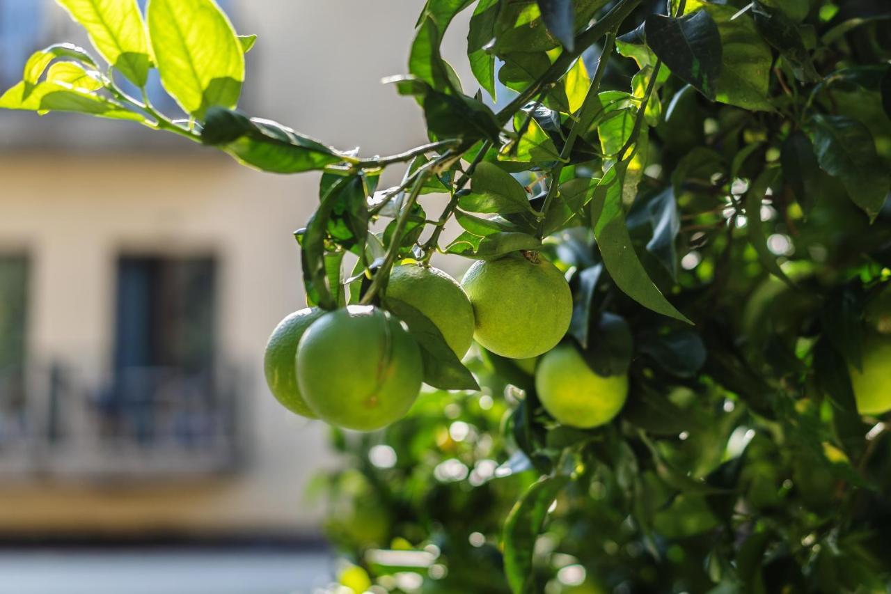Hotel Capri Sorrento Ngoại thất bức ảnh